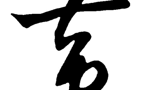 中医空心服药是指什么-空心可以喝中药吗网 - 为你提供空心的是什么中药、空心菜吃中药可以吃吗