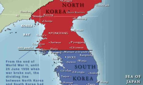 空心可以喝中药吗网 - 为你提供空心的是什么中药、空心菜吃中药可以吃吗