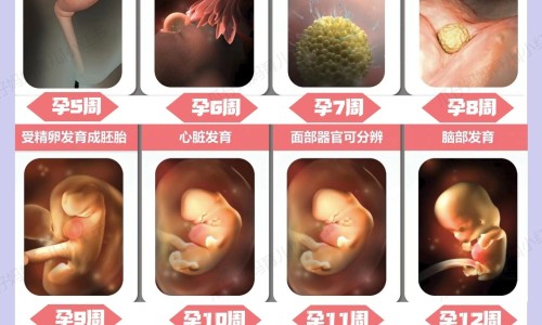 空心可以喝中药吗网 - 为你提供空心的是什么中药、空心菜吃中药可以吃吗